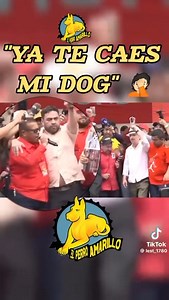 Tanto que crítico el perro amarillo a David Chavez y resulto mas drogo y bolo. Al final era envidia la que le tenia Libre a los cachurecos. | Chisme Digital
