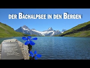 von der Firststation zum Bachalpsee - Die einfache schöne Wanderung im Berner Oberland