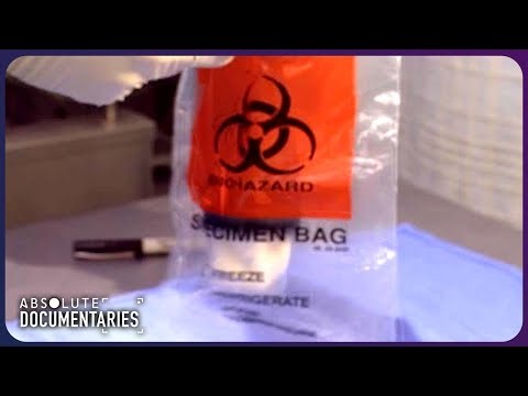 The Deadly Fungus Outbreak on Vancouver Island Explained