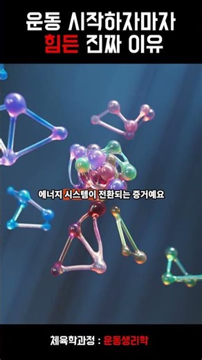운동 시작하자마자 힘든 진짜이유? #학점은행제 #체육학 #운동생리학