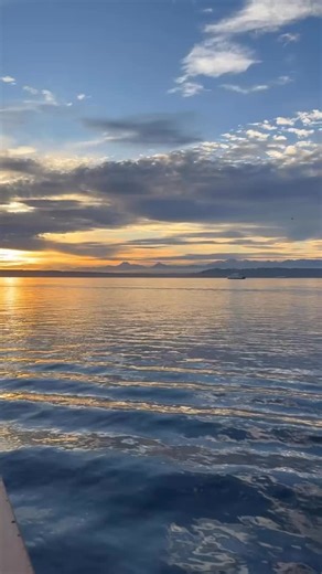 1.3K views · 75 reactions | ⛴️If you’re looking for the most festive...