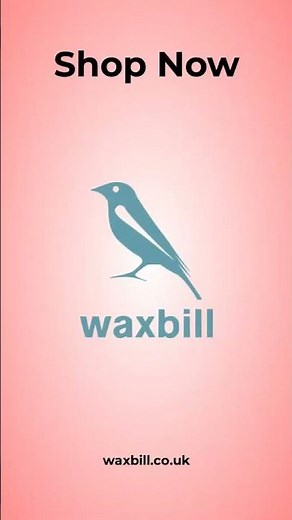 Tajima Scrape-Rite Solid Core Scraper - Long Handle