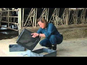 Jaylor: Introduction to the Shaker Box