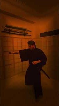 Kenjutsu in the Twilight #freestyle #training #kenjutsu #battojutsu #dojo