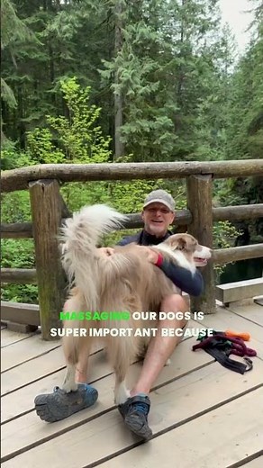 Does Your Dog Love to Cuddle? Tell Me!