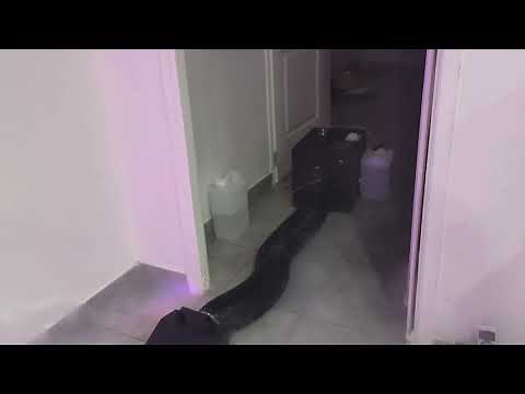 Machine à fumée lourde 3000w L3000