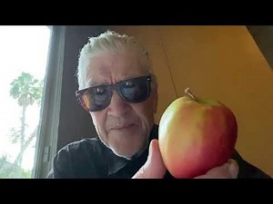 David Lynch'S Weather Report 11/29/20