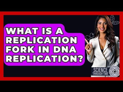 What Is A Replication Fork In DNA Replication? - Science Through Time