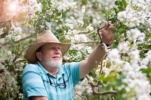 Remembering John Davis, the College of Charleston's Former Arborist