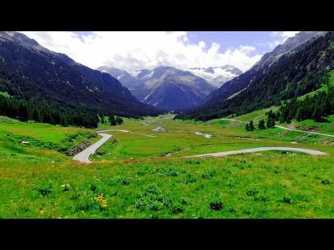 8 Sec Nature Loop🌿 Free for YouTube 4k UHD