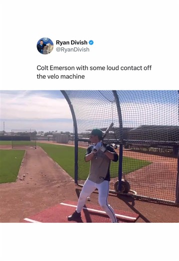 Colt Emerson's Batting Practice Highlights at Mariners Spring Training