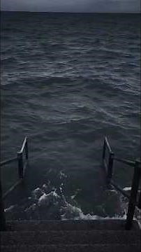 3 BỘ PHẬN BẮT ĐẦU BẰNG CHỮ "C" #shorts #memesvideo #memes #funny #funnyvideo #bacgau #ff