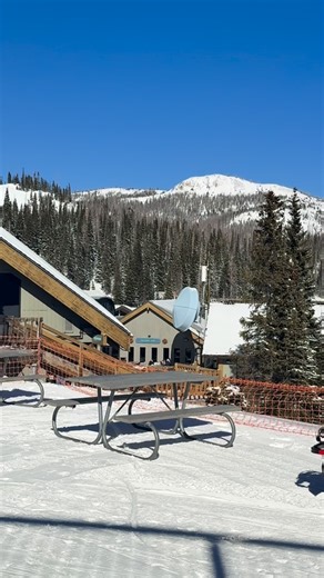 South Fork Visitor Center on Instagram: "Snowboarders, rejoice 🏂 The new snowboard rental shop, Stokin’ Boards, is now open @wolfcreekski - beneath the Treasure Lift. No more sharing space with the ski shop. Wolf Creek ski and snowboard rental shops are always upgrading their fleets with new demo, sport, and standard models from some of the best manufacturers in the industry. Skis, snowboards, telemark, and cross-country gear - available online and in person. And yes… they never run out. 👏🏻 B