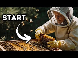 Beekeeping for Beginners a Gentle Guide to Your First Hive