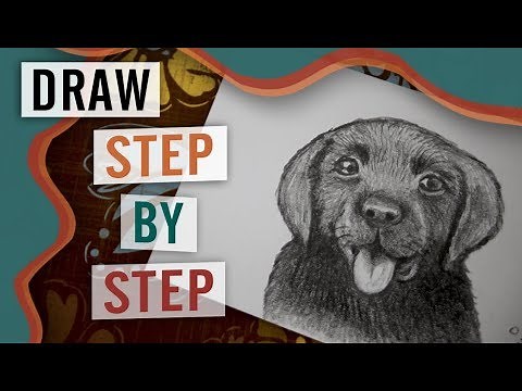 How to Draw a Dog Step by Step - Video Tutorial