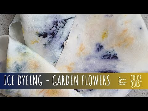 HOW TO ICE DYE WITH GARDEN FLOWERS | ORGANIC COLOR | TIE DYE | SILK | PINCUSHION COREOPSIS COSMOS