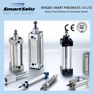 [Hot Item] DNC Series ISO6431 Double-Shaft, Adjustable Stroke Pneumatic Cylinder