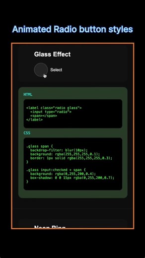 Animated input radio button styles using HTML and CSS