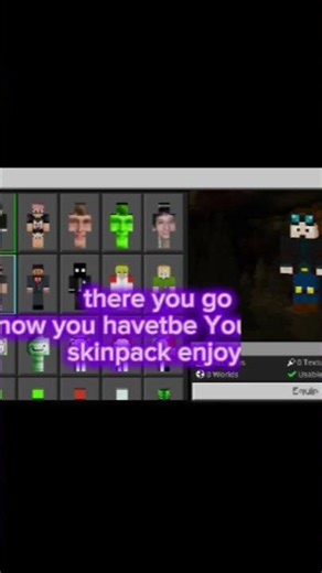 mc tutorial how too fix skins not working