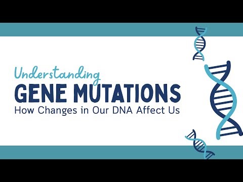 Genetic Mutations / Mutations in DNA / Gene Mutations