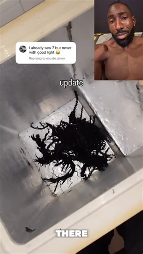 EJ Nduka 🇺🇸🇳🇬 on Instagram: "Nah this is actually insane.. what the HELL is this?! . . . . 🎥 Subscribe on YouTube: EJ Nduka 🎮 Subscribe to Twitch livestreams: twitch.tv/ejndukatv 📲 Follow for more training, wrestling, fashion, mindset, and dominance. 🥀 @civilregime CODE: EJ https://glnk.io/kolxv/ej YouTube: https://youtube.com/@ej_1?si=7SGL2dv-D5n0AJlM #ejnduka #thejudge #fitness #prowrestling #explorepage #civilregime #fitspo"