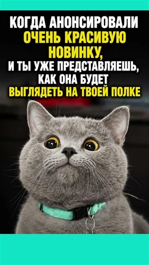 #смех #приколы #юмор #мем #шуточное #shorts #funny #cat