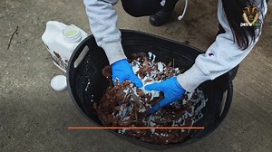 1.5K views | Learn how to use PetraMax Mulch Glue Max with this...