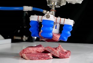 Soft Robotics Works Hand in Hand With Quest and Ossid to Offer Integrated Food Packaging System