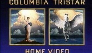 Watch National Geographic&colon; Really Wild Animals on Amazon Live