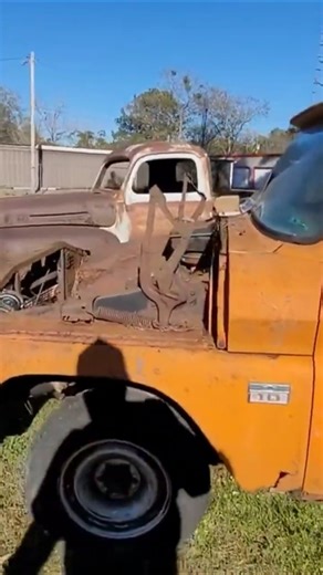 RUSTY ROADSIDE RELICS!