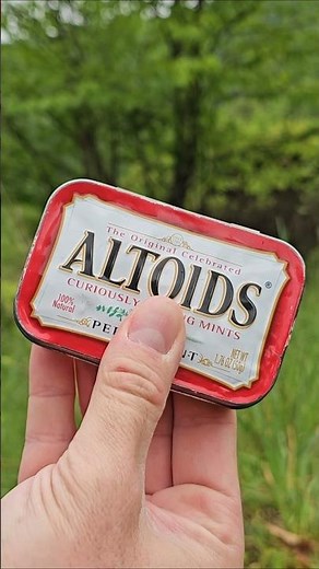 Surviving with my new Altoids tin survival kit - full video on my channel