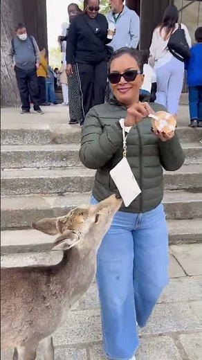 Bowing with the Deer in Nara Park in Japan