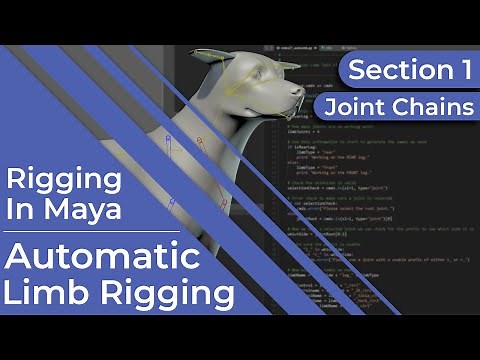 #RiggingInMaya | Part 21 | Advanced | Automatic Limb Rigging ~ Section 1
