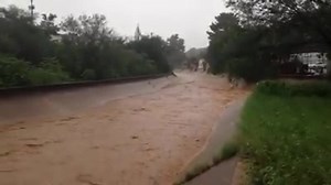 20K views · 24 reactions | We just got this video in from Nogales -...