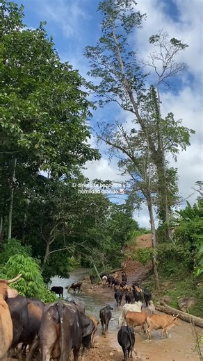 El Dinero y la Humildad: Claves para el Éxito