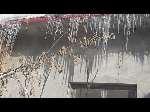 FS 25 - Szpakowo Precision Farming