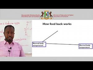 Biology Chapter 1 Lesson 3 HD