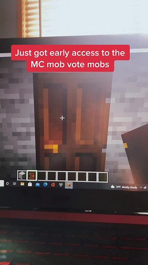 Just got early access to glare, allay, and copper golem #wap #mobvote #allay #copper golem #rock