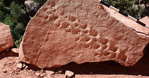 Grand Canyon's oldest fossilized footprints