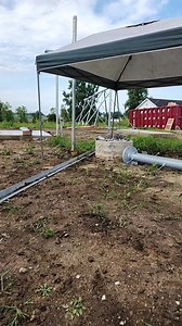 A string level doesn't cost much bro... shits not right | Dave Trombley