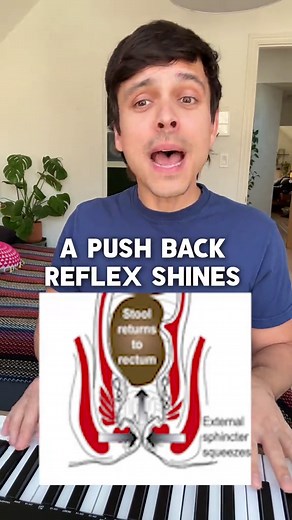 Exploring Reflexes and Bodily Functions