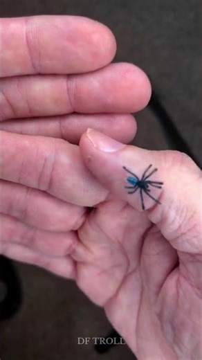 Before And After Amazing Animals Transformation!!