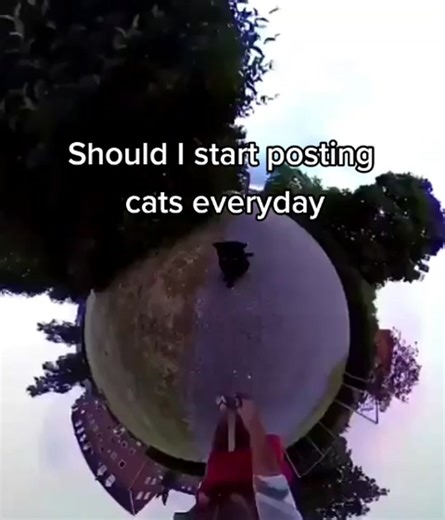 Videos de ?? (@sanestbendyfan) con “I Wonder If I Take You Home (with Full Force) - Lisa Lisa & Cult Jam”