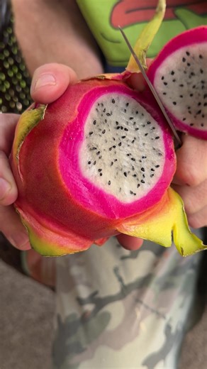🐉 Our littles trying DRAGON FRUIT for the FIRST time ever! 🍓✨ The faces they made?! Pure comedy gold 😂 From confused nibbles to “MOM MORE PLEASE!” New fruit = new memories with our littles 💕 Would YOUR littles go for it? Drop a ❤️ if they’re adventurous eaters or comment their funniest first-try fail below 👇 #OurLittles #DragonFruit #FirstTimeTrying #KidsTryingNewFoods #ToddlerEats