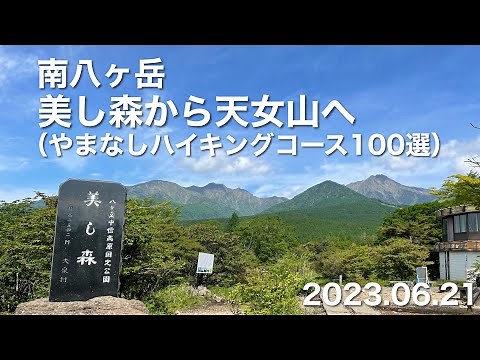 【ハイキング】 南八ヶ岳 美し森から天女山へ（やまなしハイキングコース100選） 2023.06.21
