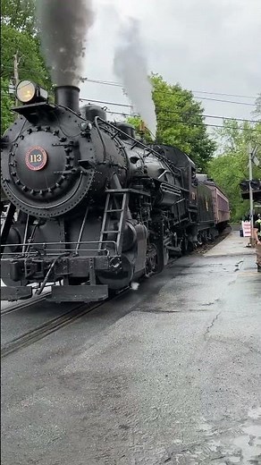 CNJ 113 Departs Minersville Station