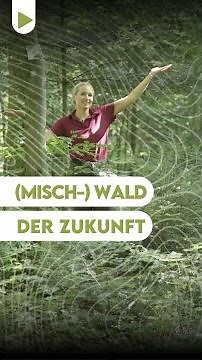 (Misch-)Wald der Zukunft!