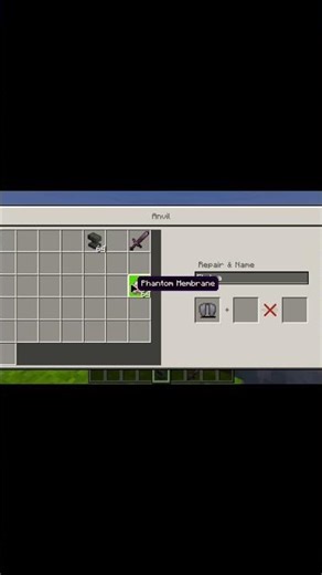 How to repair Elaitra in Minecraft / kya Minecraft mein elitera ko repair kar sakte hain