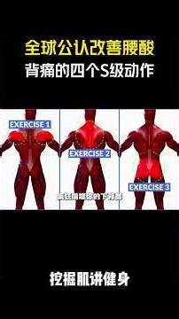 4 S-Tier Exercises Globally Recognized to Relieve Back Pain #Fitness #FitnessKnowledge #FitnessTu...