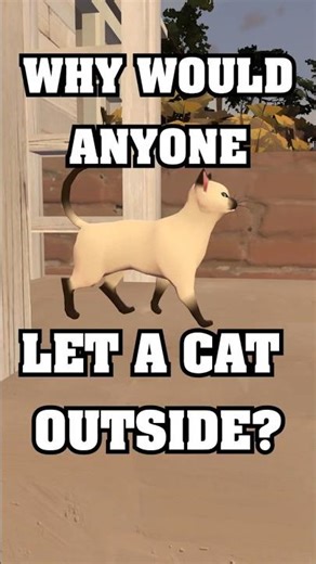 Legendary Quickie: Indoor Pets #fypシ #lilsauce #sfm #comedy #funny #rant #relatable #pets #cats #dog